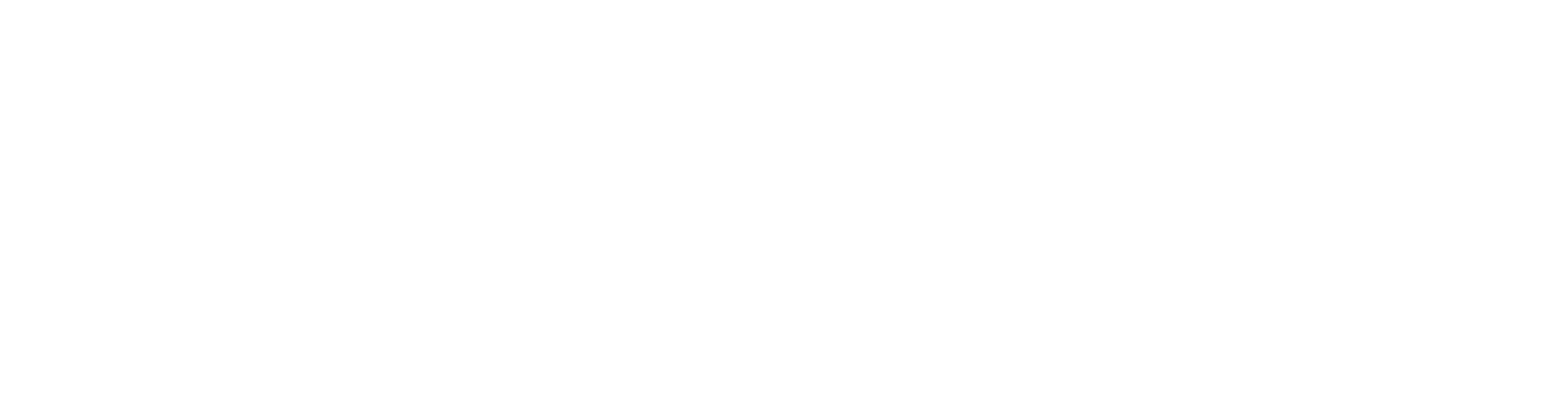 AppliedAI wordmark, white